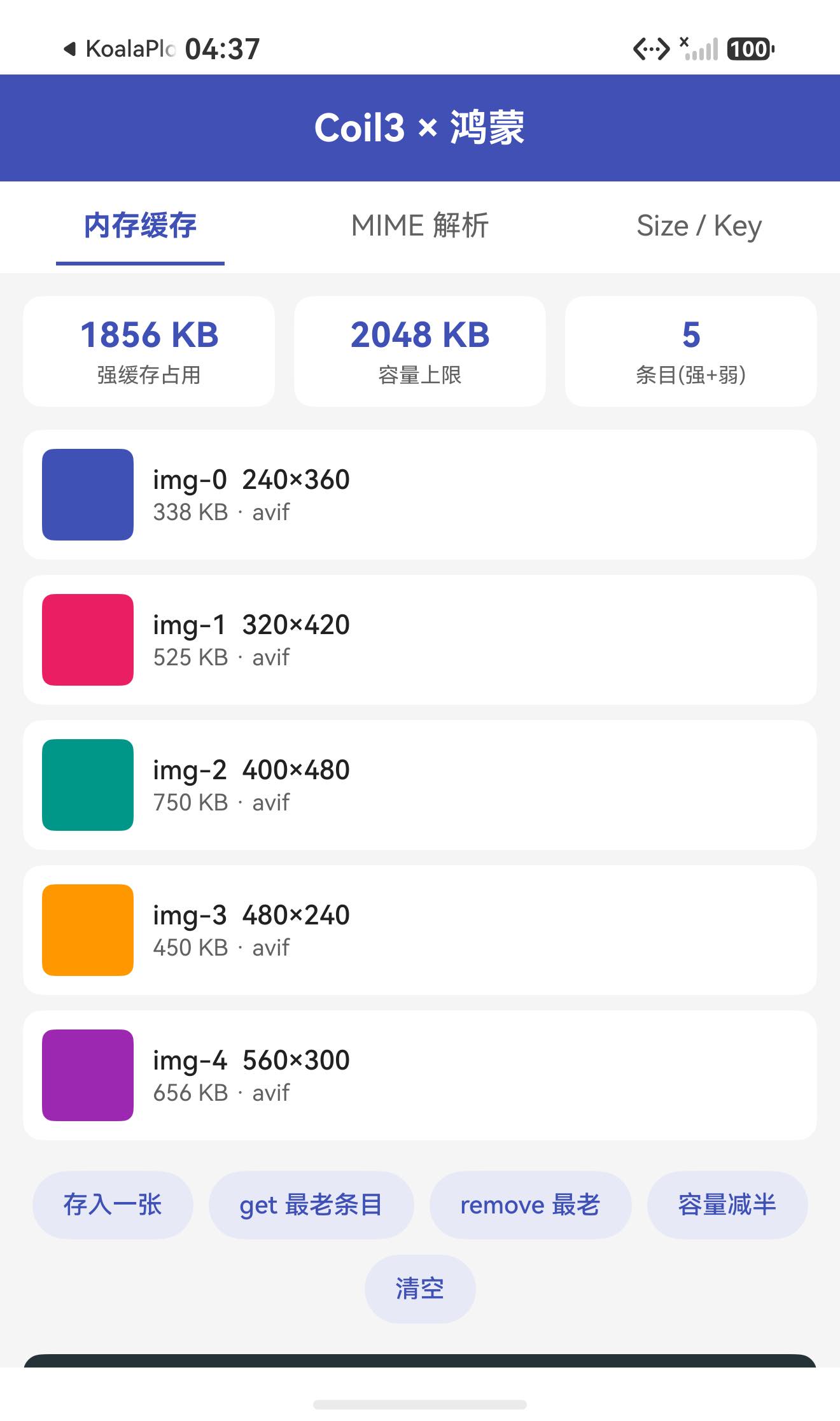 内存缓存页