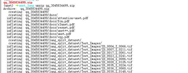 image-20250105014314383