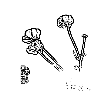 image-20250723193655220