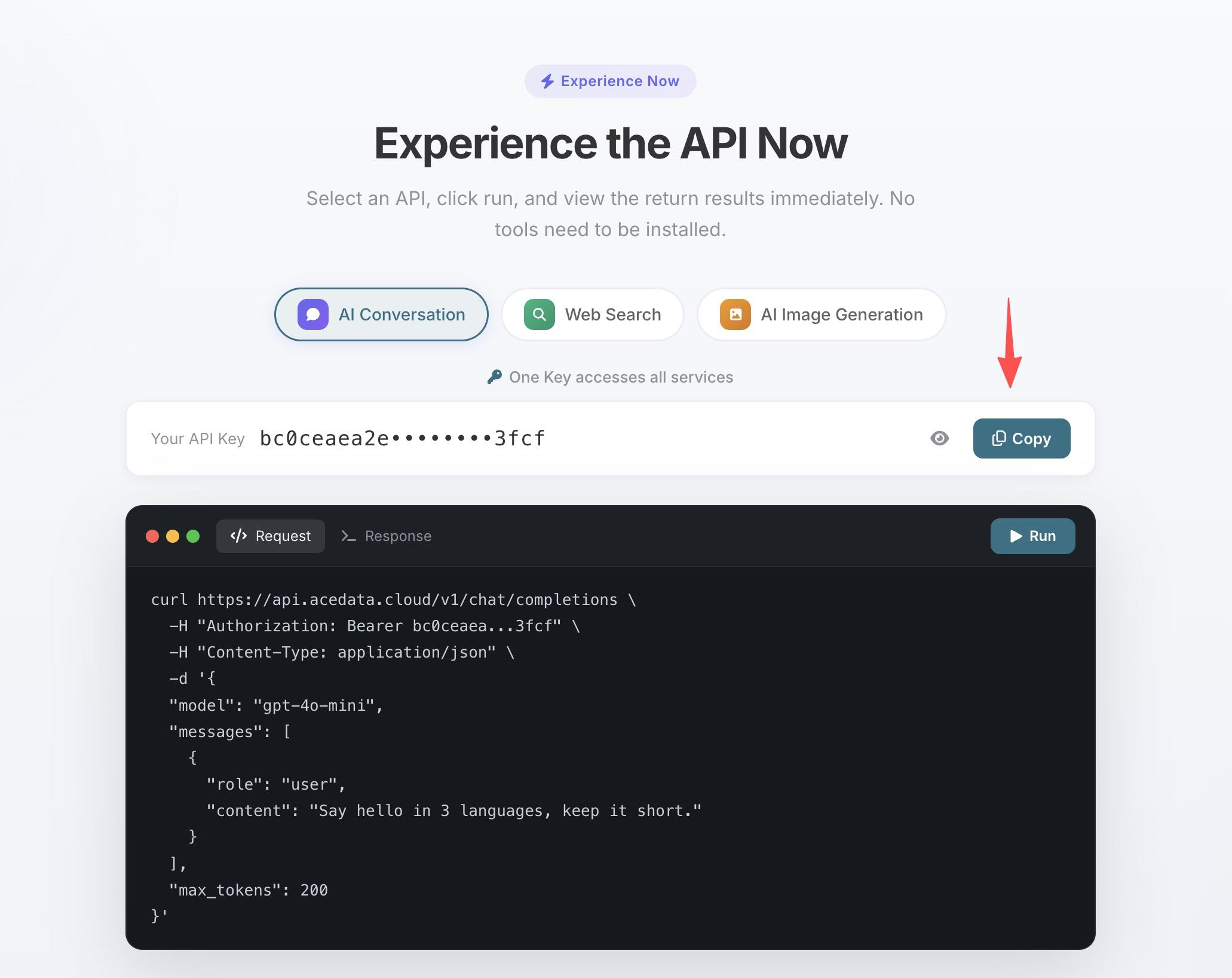AceData Cloud Platform Homepage Token