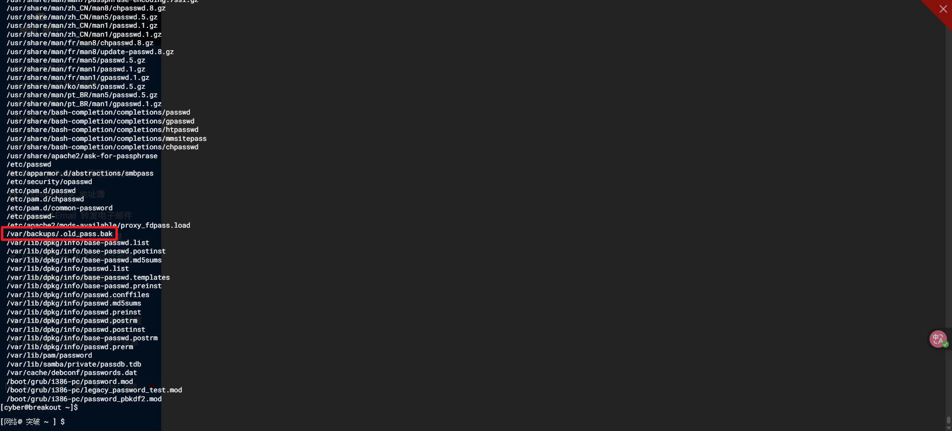 image-20250501153718290