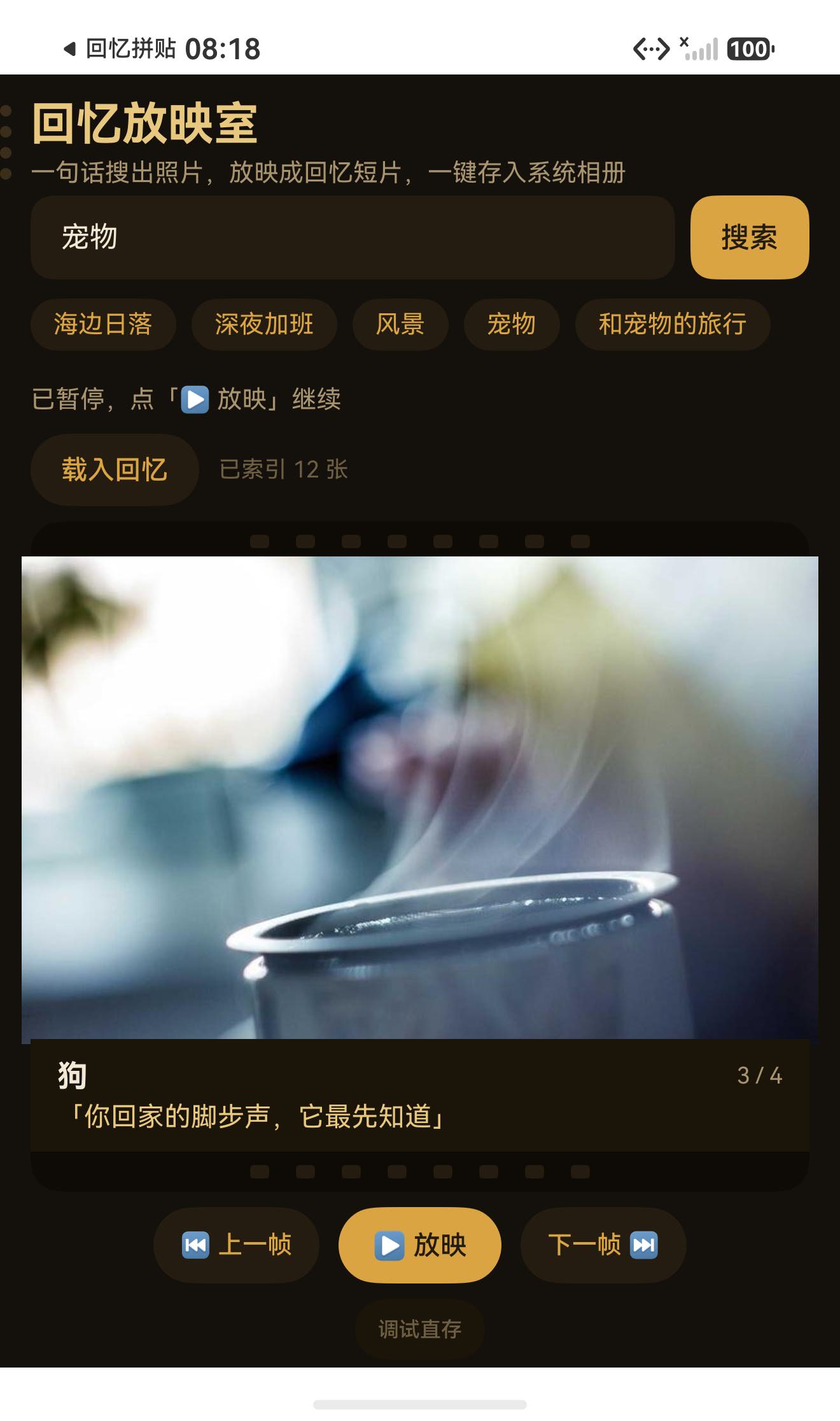 暂停态：进度点导航 + 底部 SaveButton 安全控件（系统渲染文案「下载」）