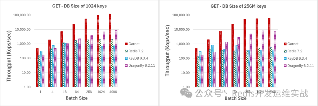 微软基于.NET实现的Redis协议分布式缓存数据库Garnet调研_garnet redis