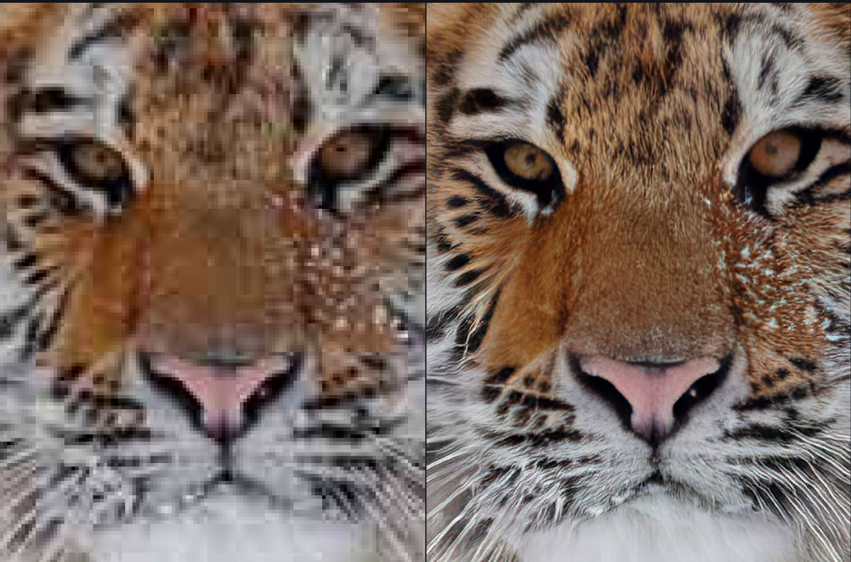 Topaz Photo AI4.0（简体中文汉化版）一款人工智能AI模糊图片变清晰软件_topaz photo ai 4