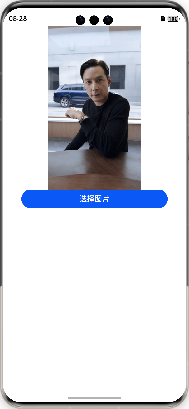 image-20241215202846748