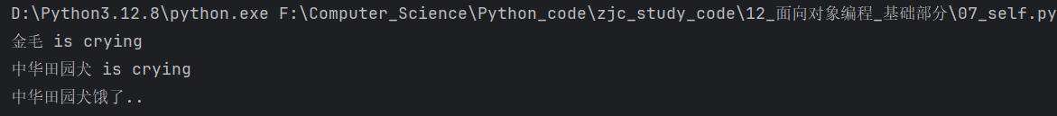 image-20250208111832972