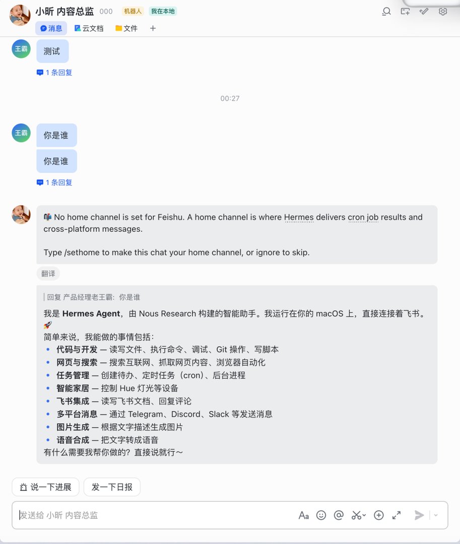 assets-手把手带你安装和使用Hermes/pasted-20260612003029.png