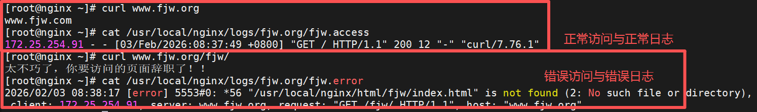 image-20260203083919004