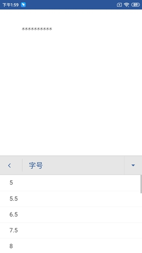 Microsoft Word5
