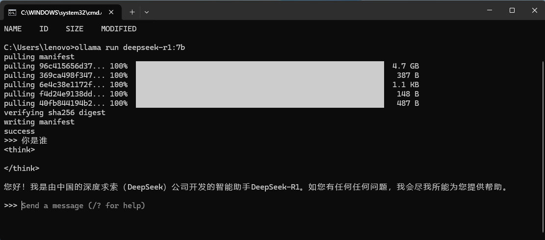 image-20250205170409951