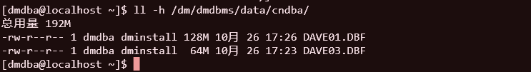 image-20251026172719159