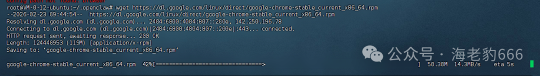 image-20260223094504309