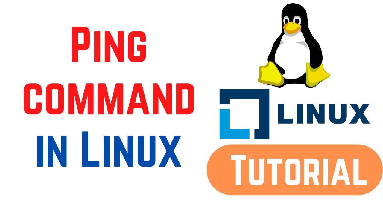 Ping Command in Linux with Practical Examples