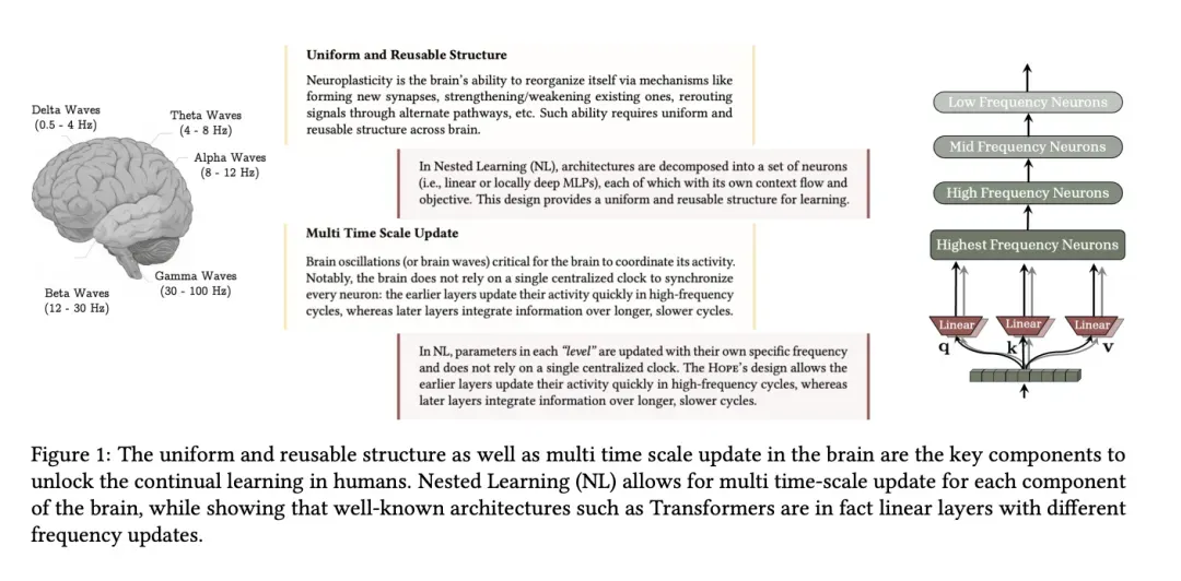 Nested Learning的神经可塑性设计