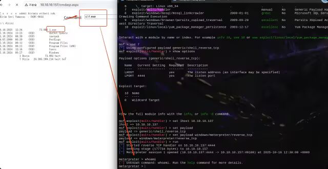 image-20251018123834251