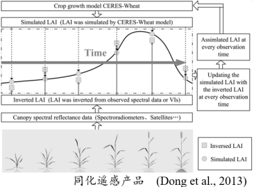 如何通过构建遥感光谱反射信号与地表参数之间的关系模型来准确估算植被参数——植被参数光学遥感反演方法(Python)及遥感与生态模型数据同化算法技术应用