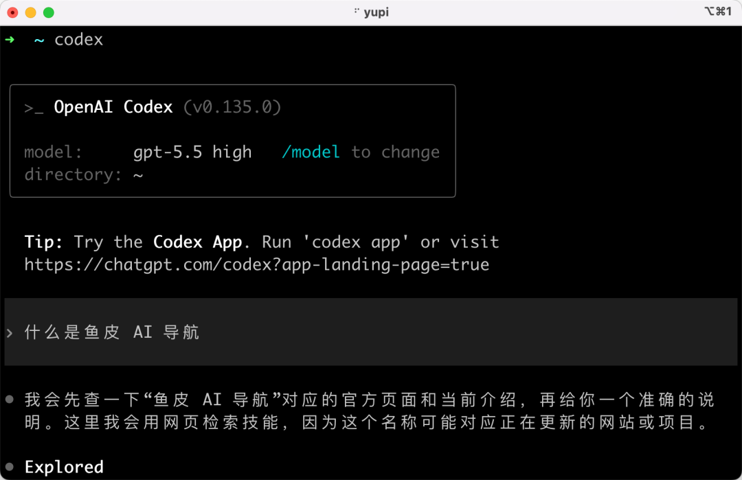 Codex CLI 界面