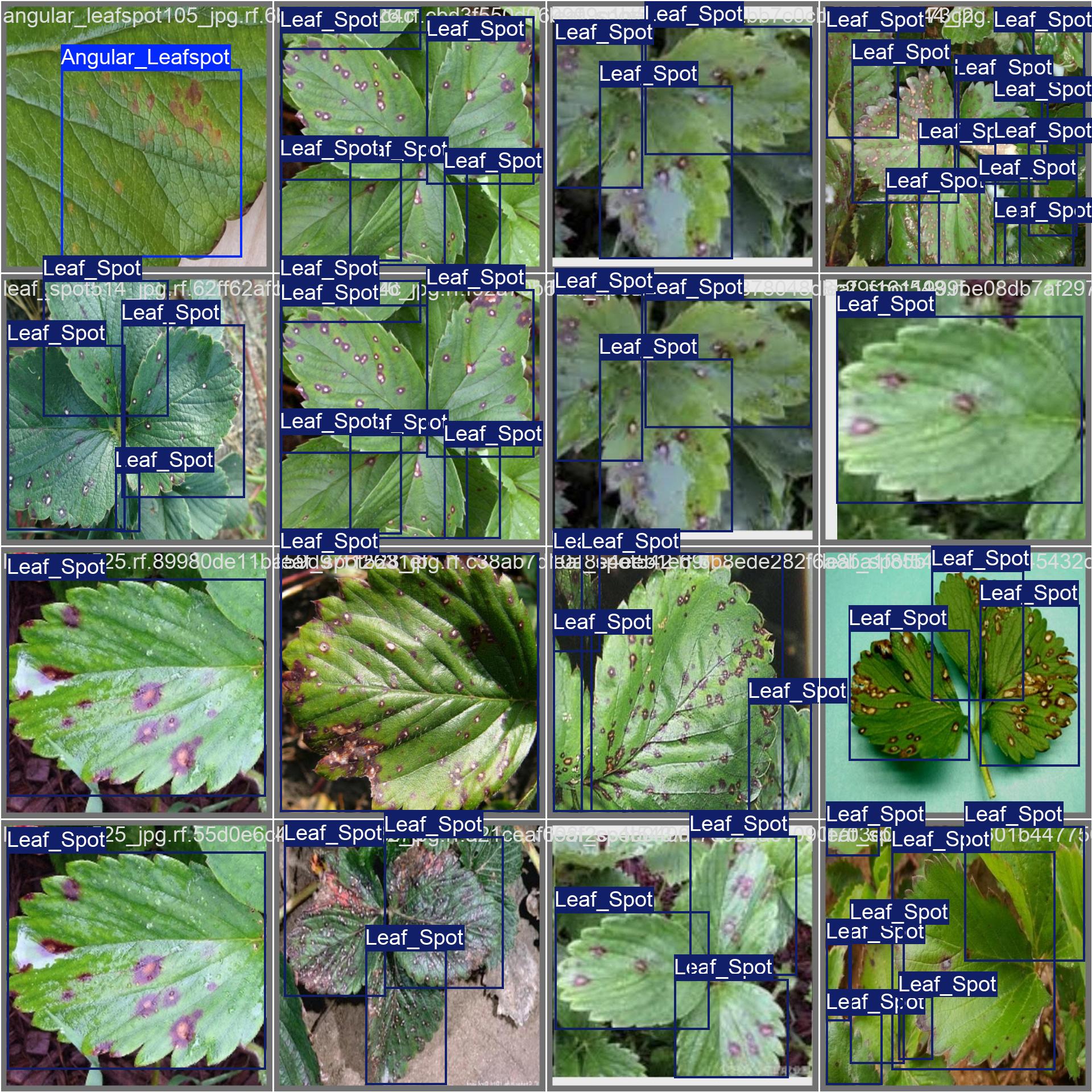 val_batch0_labels.jpg
