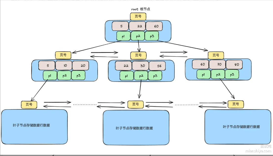 image-20250313113329584