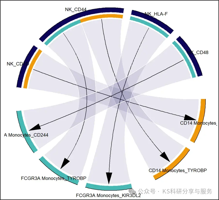 【改装函数】弦图-可视化cellphonedb细胞互作结果_cellphonedb可视化-CSDN博客