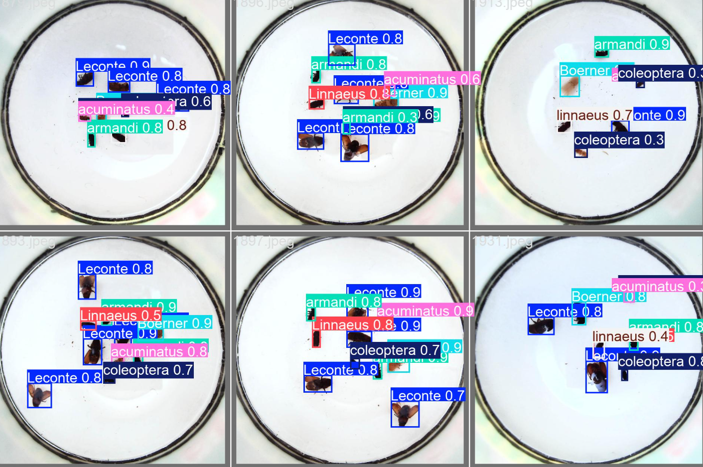 image-20250719165324785