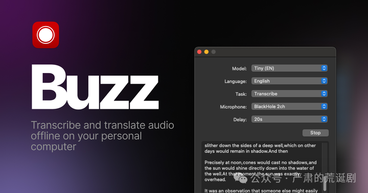 Buzz-0.8.1 视频语音转成TXT、SRT、VTT工具