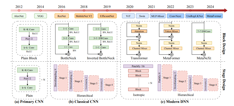 Vision backbones with representative macro and micro designs since 2012