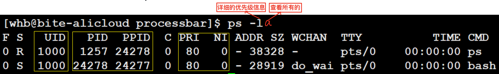 image-20250812213629852