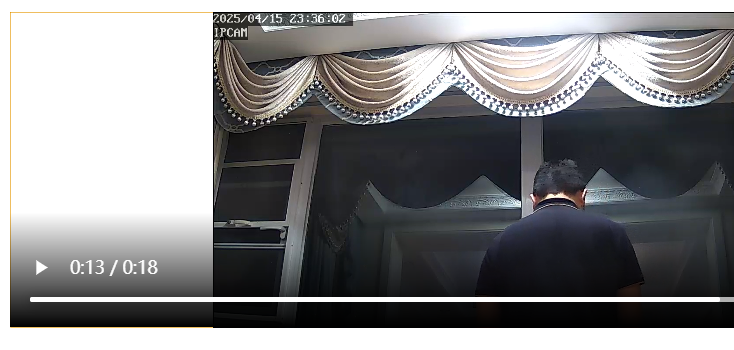 image-20250513195356617