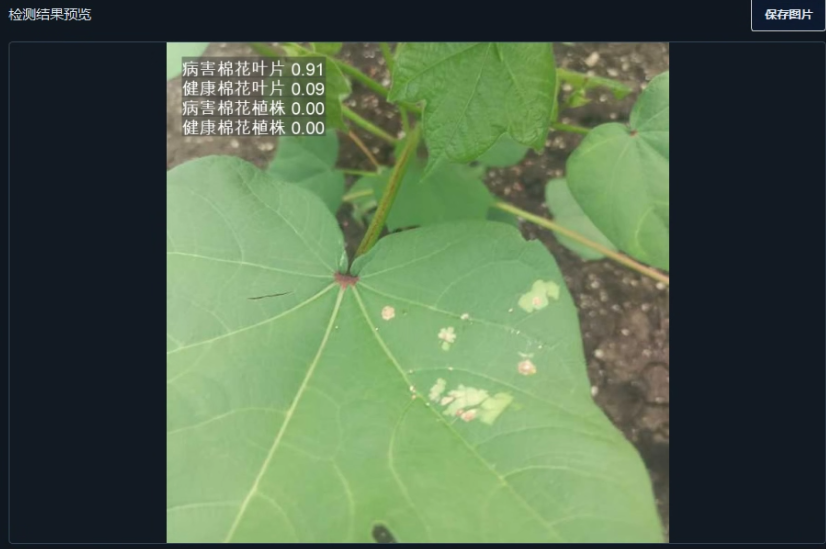 image-20260113011350975