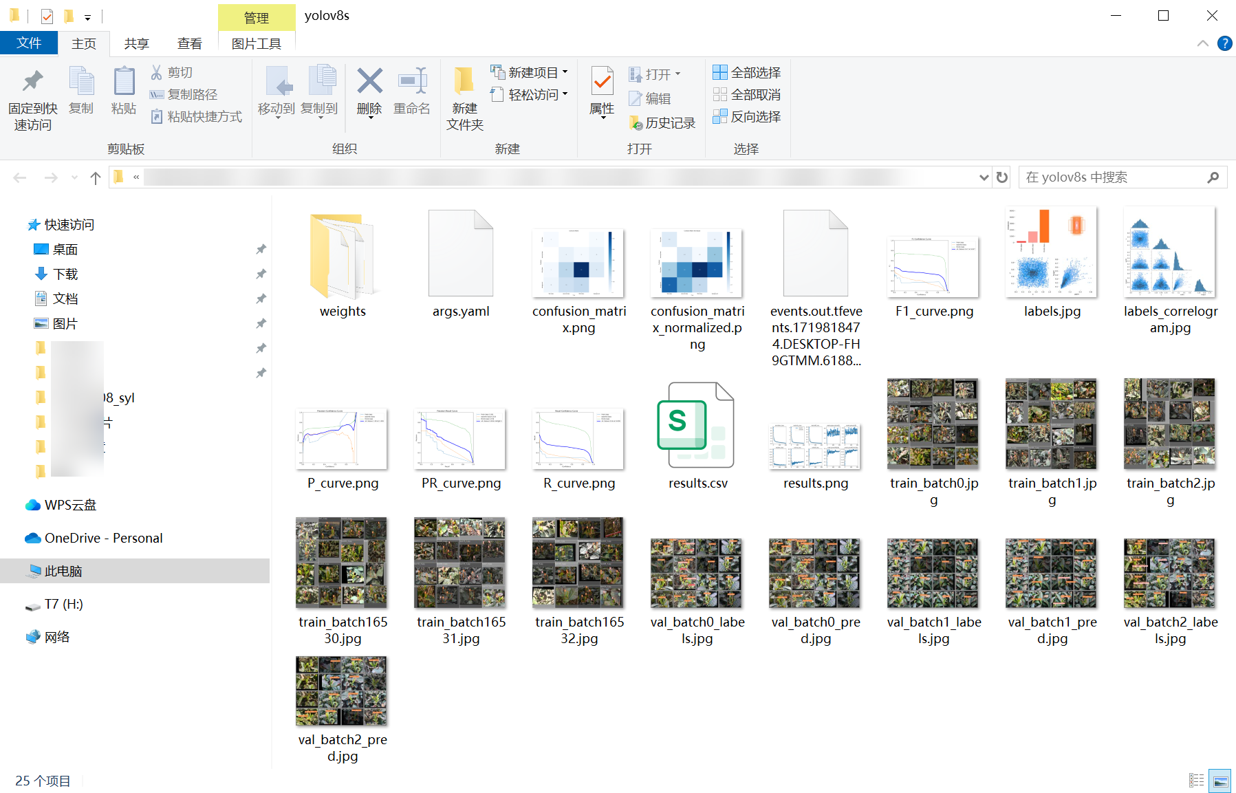 26_tea_detect-weights_folder_screenshot.png