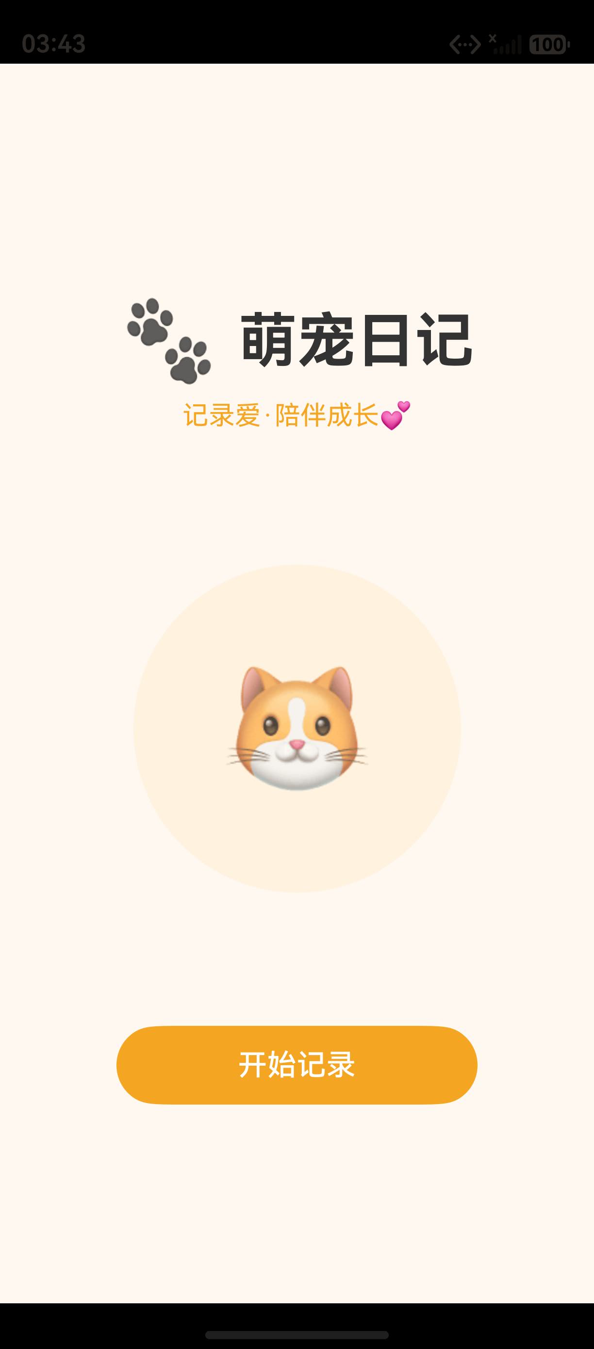 页面预览