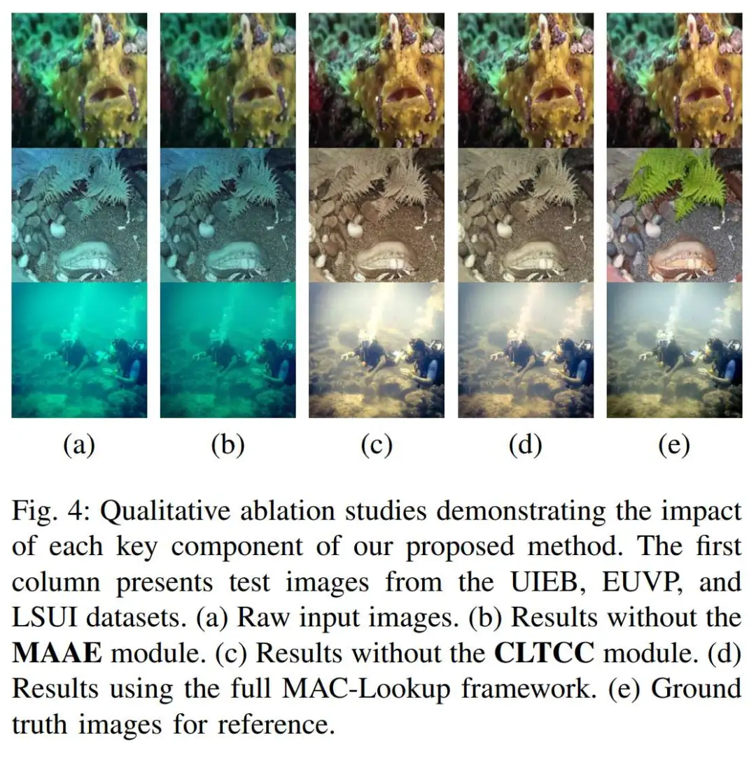 各个模块消融性研究定性比较