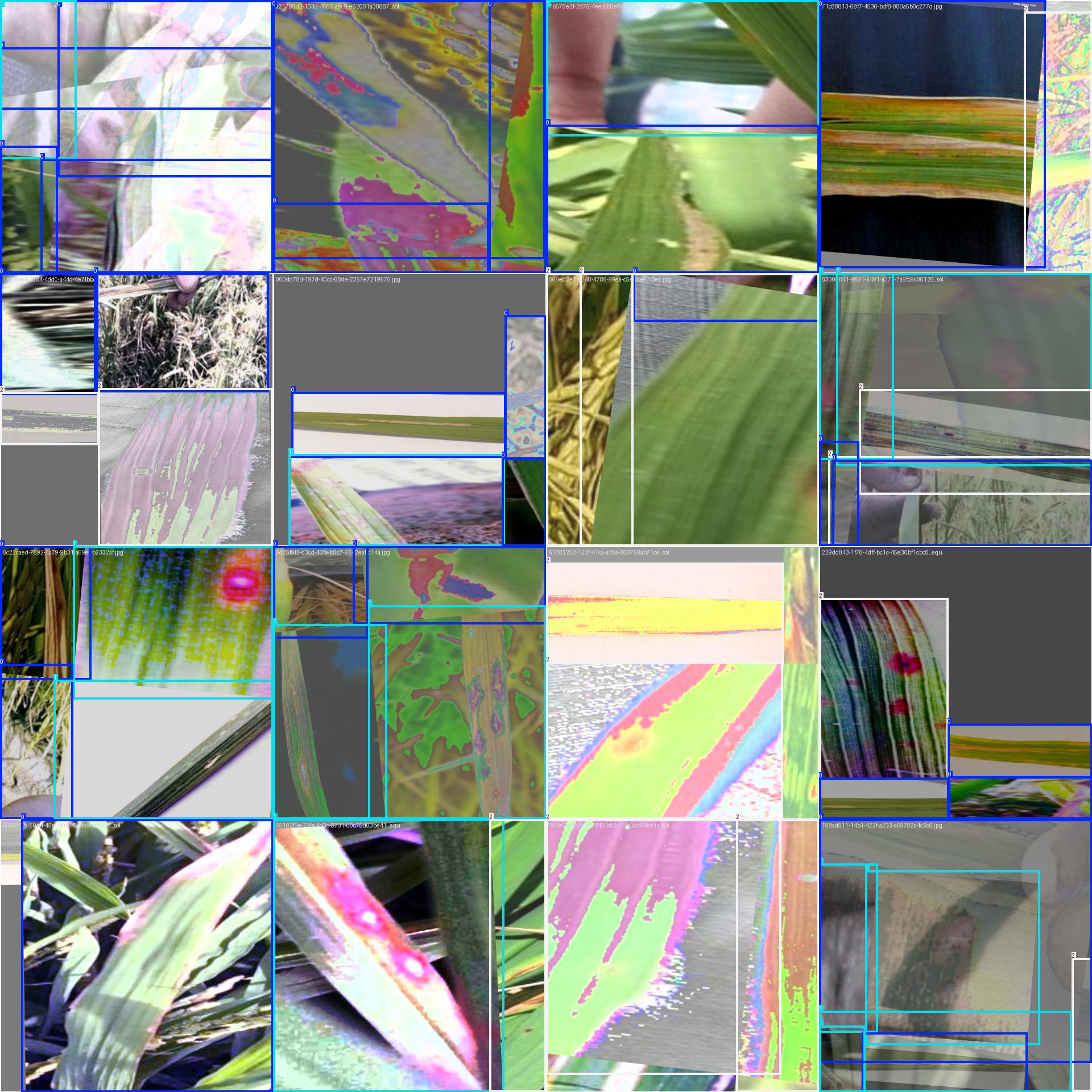 训练批次2