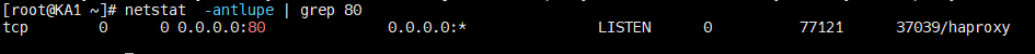 image-20250723232035783