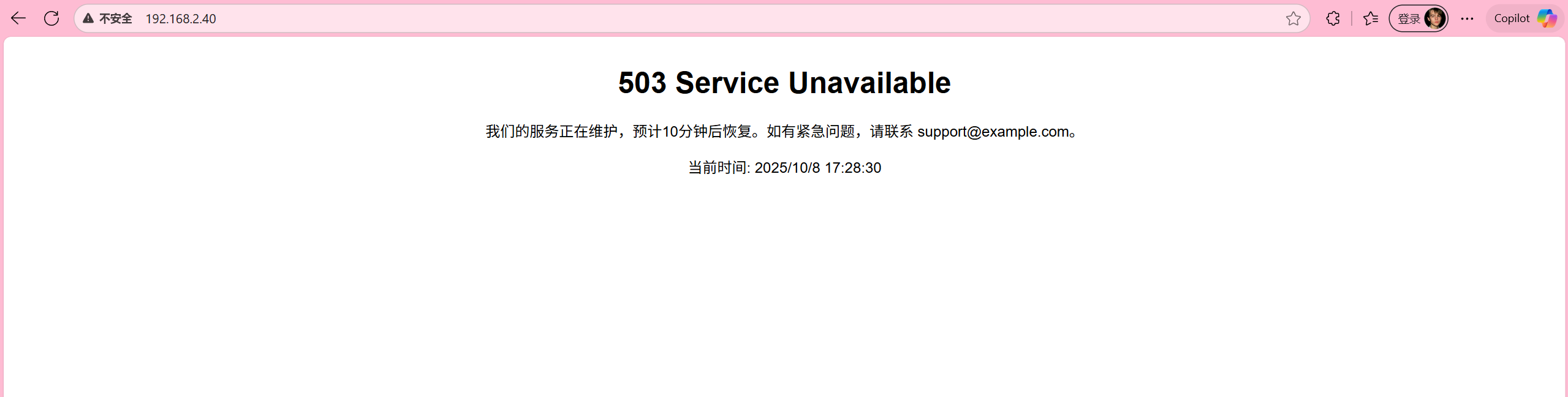 image-20251008172900399