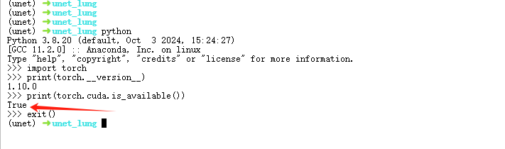 image-20250105004436116