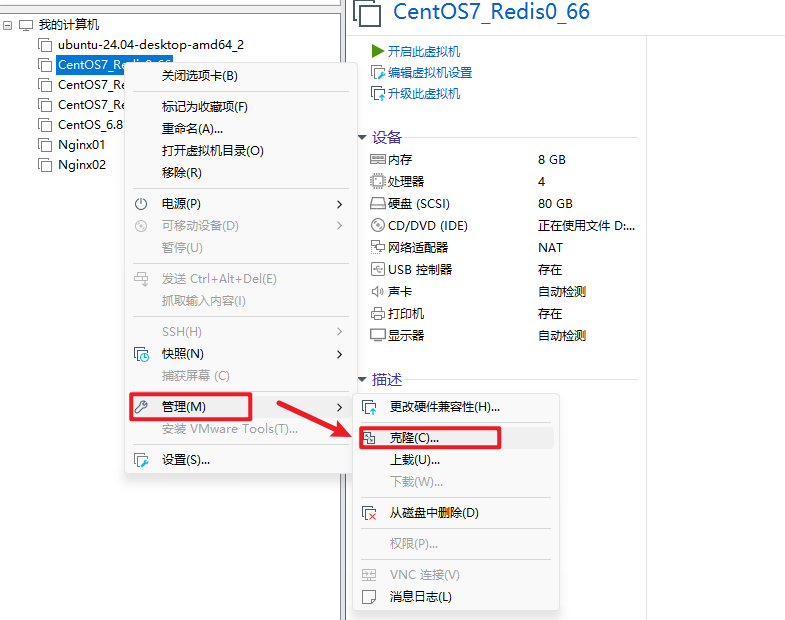 image-20241013132556306