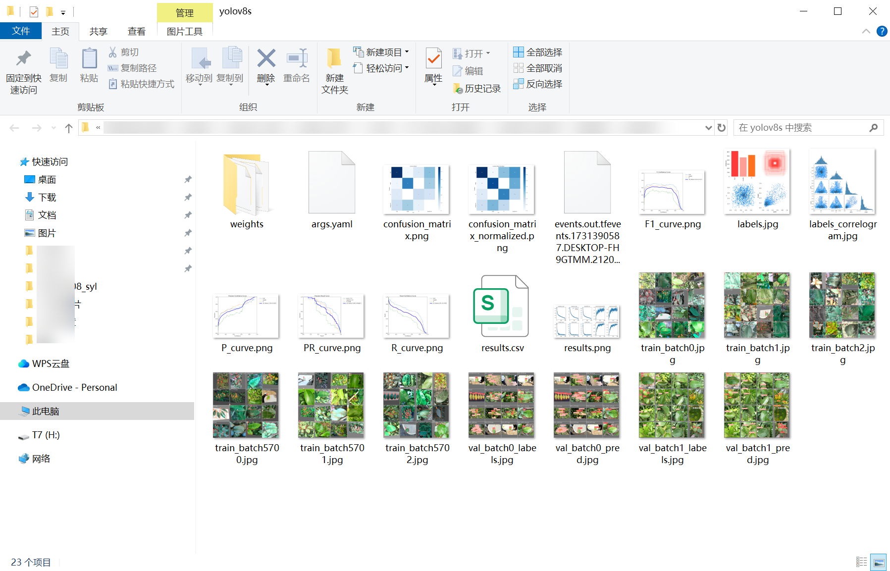 61_citrus_disease-weights_folder_screenshot.png