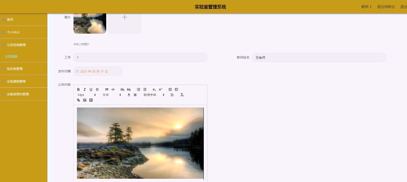 公告信息界面