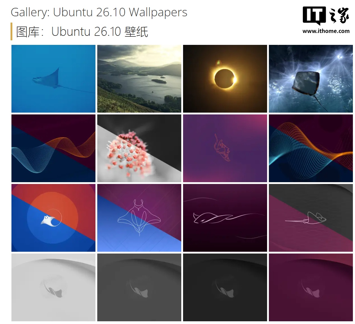 官方壁纸开放下载:Ubuntu 26.10 正式版10 月15 日发布