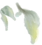 7505eedd657301c524c7d23203b10ef6.png