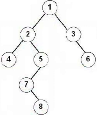 image-20240717155415716