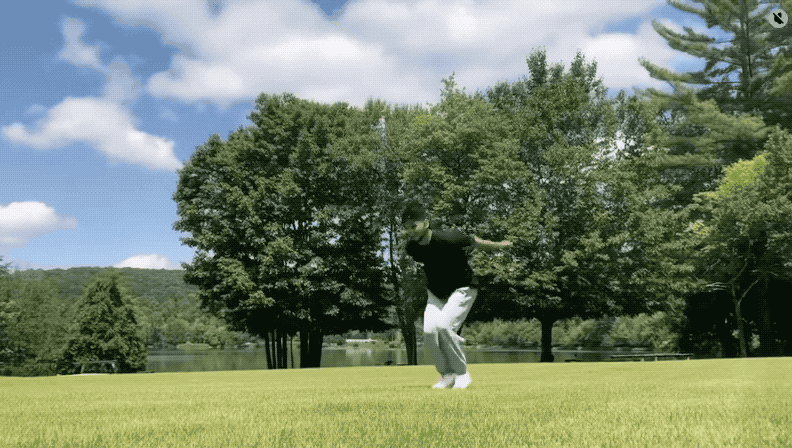 【最全Sora2官方提示词】Sora 2使用教程：新一代真实世界级 AI 视频生成_含Sora API使用示例与在线使用