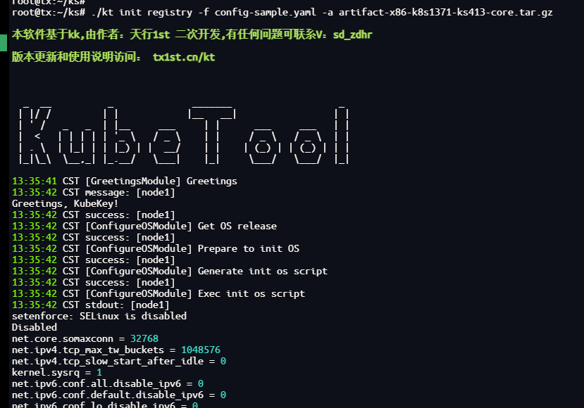 执行 init registry