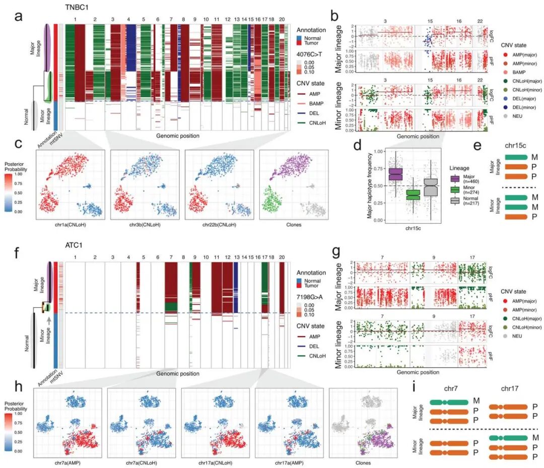 17750b2503878558c032284d215d12da5f65f047b8d695323e084bffd0af374d