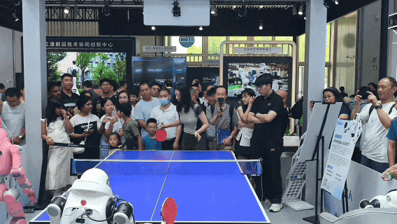 打球1.gif