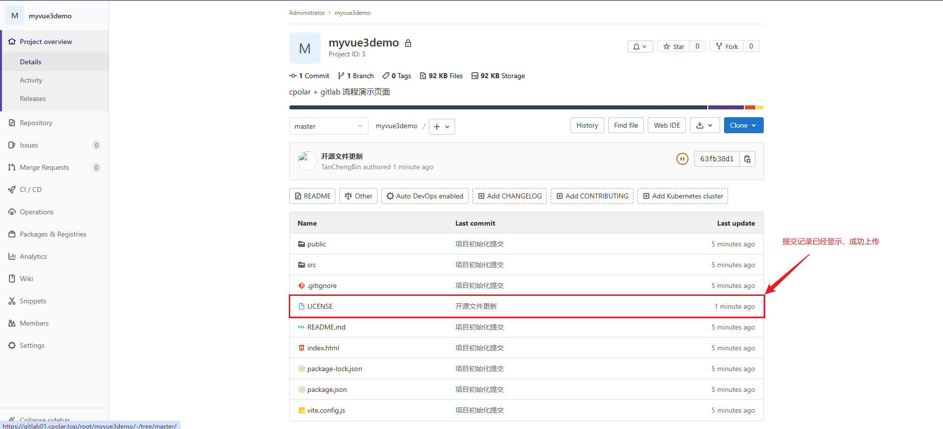 image-20250804134119415