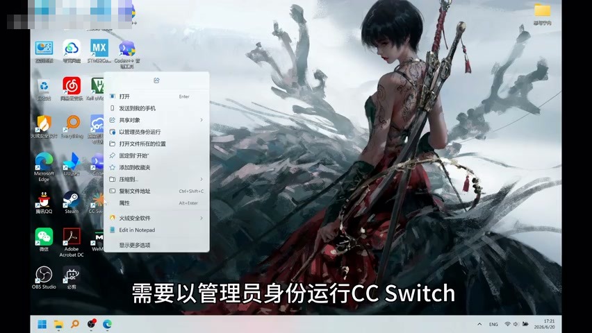 以管理员身份运行 CCSwitch