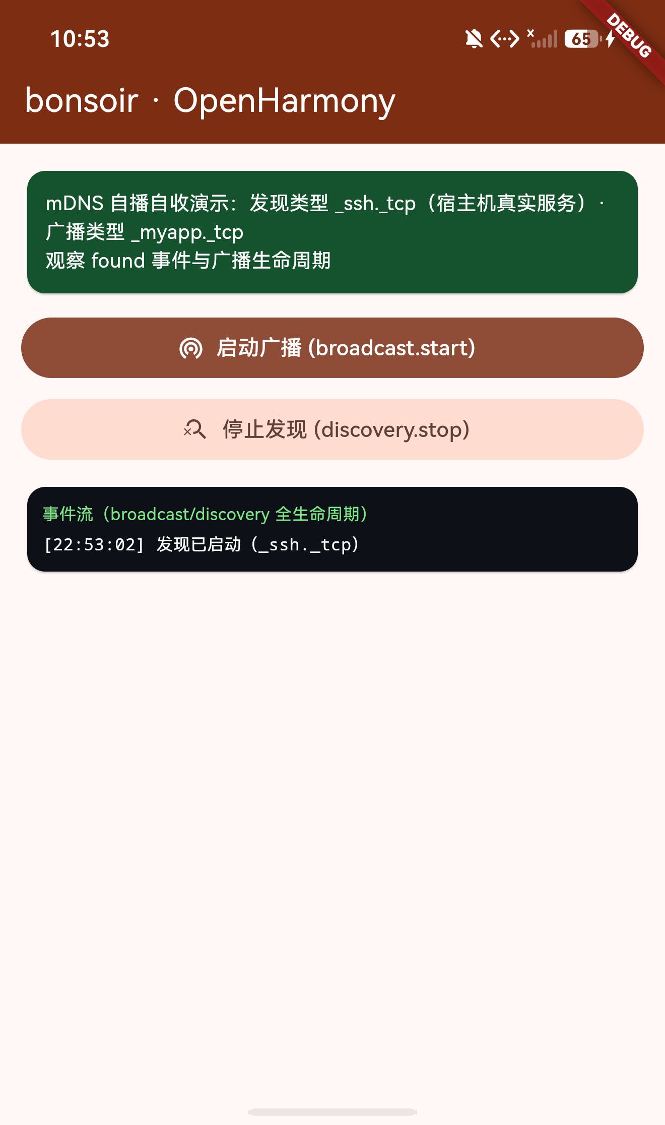 discovery 启动